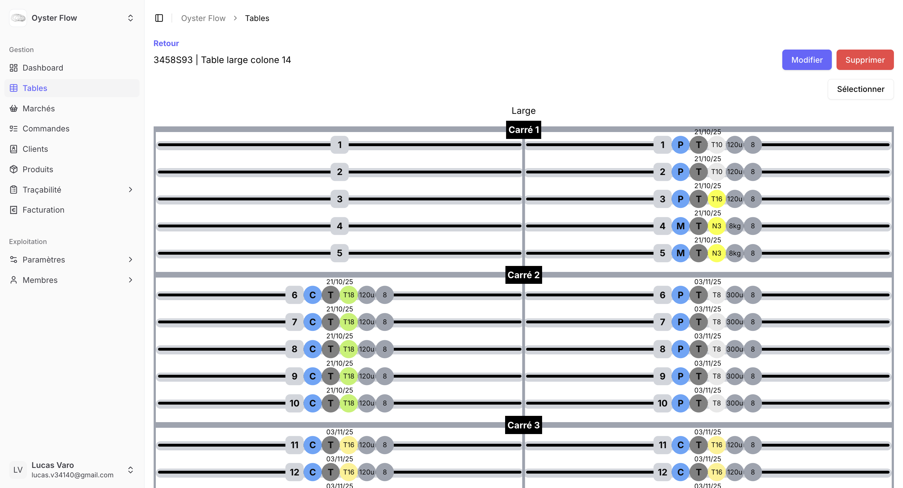 Oyster Flow - Image 3